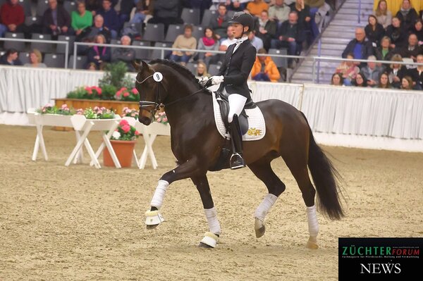 Endorphin | © Bischoff