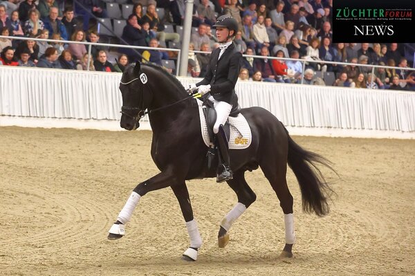 Leclerc | © Bischoff