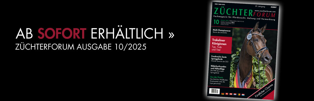 ZF_Header_10_2025