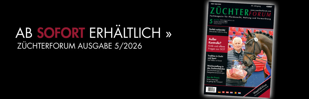 Header_ZF_05_2026
