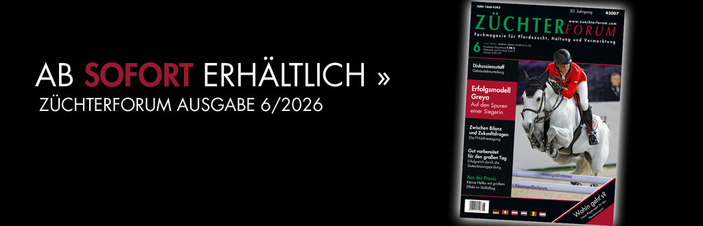 Header_ZF_06_2026