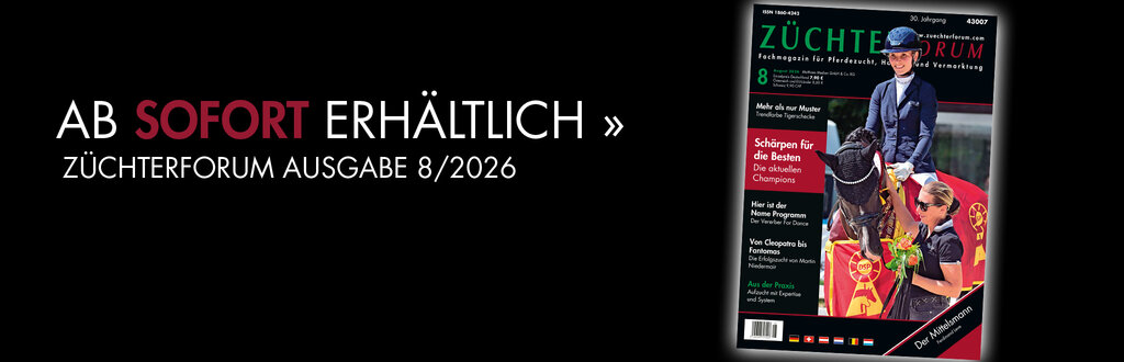 Header_ZF_08_2026