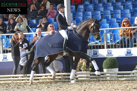 Siegten in der Qualifikation der vierjährigen Hengste: Endorphin und Greta Heemsoth. Foto: Bischoff