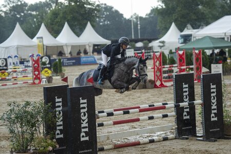 True Blue (Equitaris)