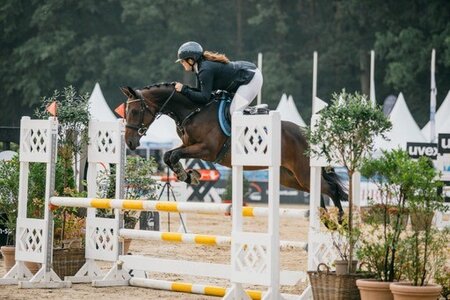 For You siegte in der Finalqualifikation der fünfjährigen Springponys. | Foto: Tina Keller