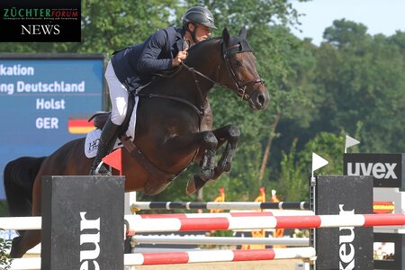 Cou unter dem Sattel von Richard Vogel sprang zum Sieg bei den siebenjährigen Springpferden. | Foto: BIschoff