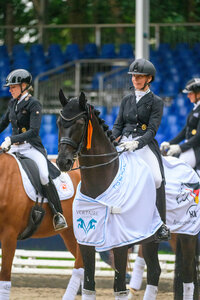 Diafys OLD erzielte unter Stefanie Wittmann die Tageshöchstnote. | Foto: Equitaris