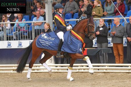 Kastanienhof Roxette (Bischoff)