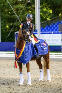 DSP Der kleine Champion (Equitaris)