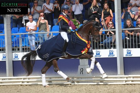 Barbor BS avancierte zum Champion der dreijährigen Stuten und Wallache. | Foto: Bischoff