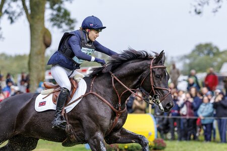 Ein Totilas-Enkel führt das Klassement der Sechsjährigen derzeit an, Mojo und seine Reiterin Mollie Summerland. Foto: Dirk Caremans