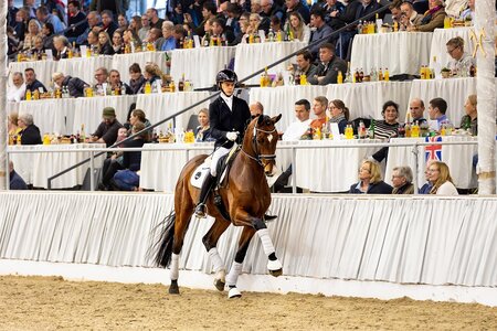 Preisspitze Semenyo N v. Secret/Belissimo M (Foto: Hannoveraner Verband)