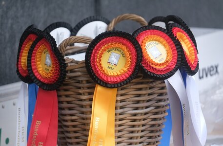 Vier positive Untersuchungsergebnisse vermeldet die FN auf direkte Nachfrage. Foto: Hartwig