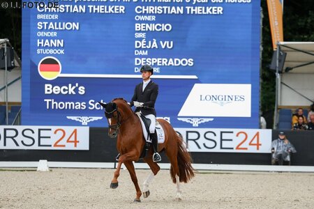 Beck’s FRH, der Bronzegewinner der Weltmeisterschaft der Jungen Dressurpferde, steht den Züchtern ab sofort im FS-Einsatz zur Verfügung. | © LL-Foto