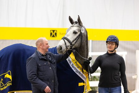 Ein Diacontinus-Sohn aus der Zucht von Johann Fuseler gewann den Freispringwettbewerb der Dreijährigen  | © Foto: Hannoveraner Verband