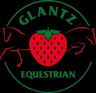 Glantz Equestrian startet eine Neuauflage seiner begehrtenElite-Auktionen. | © Glantz Equestrian