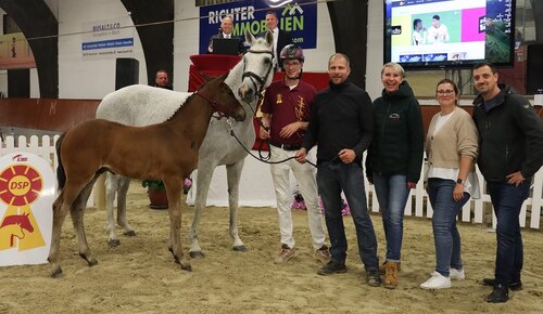 Zauberlehrling von Zinedream bescherte Züchterin Valerie Huck aus München die Preisspitze mit 12.500 Euro.  | © DSP