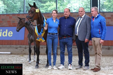 As Siegerin des Zangersheide Fohlenchampionat Deutschland wurde diese Tochter des Emerald van't Ruytershof ausgezeichnet. | © Bischoff