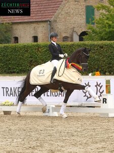 Das internationale Trakehner Bundesturnier 2024 ruft.  | © Bischoff