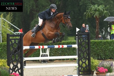 Ließen sich den Sieg im Championat der Siebenjährigen nicht nehmen - Cimarosa und Hannes Ahlmann  | © Bischoff
