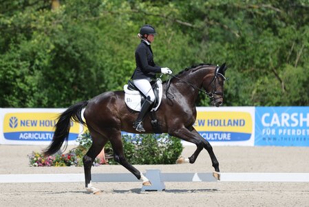 Zodiac, unter seiner Reiterin Anna-Lisa Schepper, auf dem Weg zum Sieg in der Einlaufprüfung der diesjährigen Landeschampionate. | © Doma