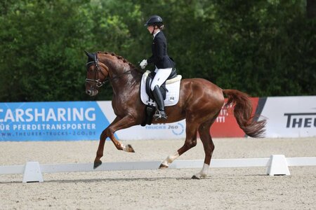Anna Fuchs mit dem neuen Landeschampion Fred the red | © Doris Matthaes