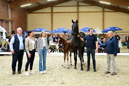Auf dem Dressurring an der Tete trabte ein Stutfohlen des Zoom–Belantis, aus der Zucht und dem Besitz von Dr. Martin Köhne  | © Beelitz 