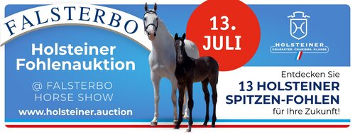 13 Holsteiner Fohlen, werden in Falsterbo am 13. Juli zur Versteigerung kommen. | © Holsteiner Verband