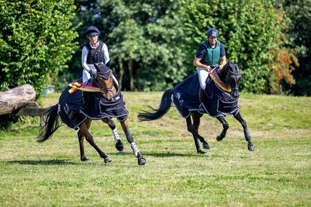 Trakehner Geländepferdechampions 2024: Links im Bild der fünfjährige Fly High v. Asagao xx mit Sandra Penndorf, rechts im Bild der sechsjährige Ni’ihau v. Kros unter dem Sattel von Jens Hoffrogge. | © Bauernschmitt