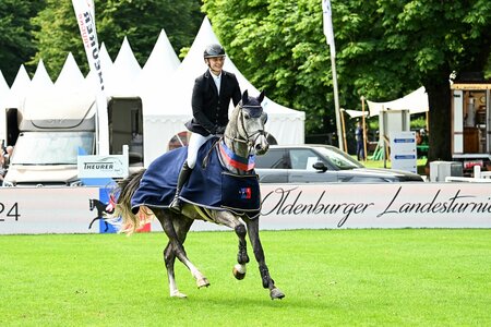 Der Champion der Vierjährigen: Dardanos de Blanco v. Dia Corrado mit Hanno Berenzen im Sattel.  | © Beelitz 