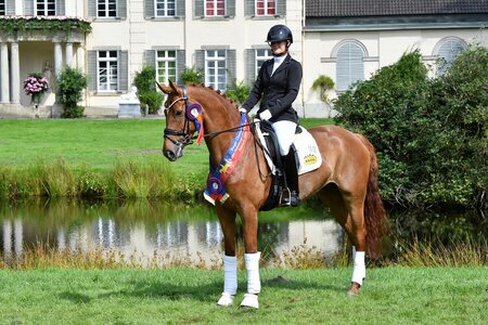 Dressurpferdechampioness bei den Fünfjährigen wurde in der Dressurpferdeprüfung der Klasse L,  Saluna W OLD  | © Beelitz 