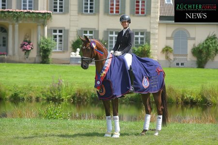 Weihkjenta avancierte zur Oldenburger Reitpferdechampionesse der 3j Stuten & Wallache | © Bischoff