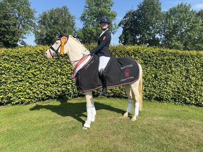 Westfalen-Champion der fünfjährigen Dressurponys: Gold Garant v. Golden Grey NRW | © Westfalenpferde 