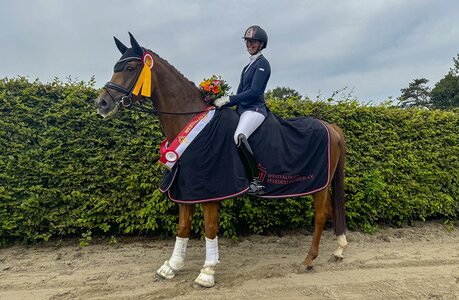 Westfalen-Champion der sechsjährigen Dressurpferde Synergy HW v. Secret | © Westfalenpferde 