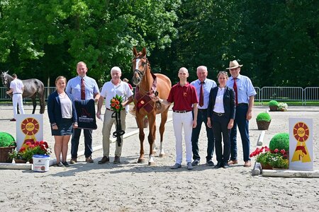 Ehrung der besten springbetont gezogenen DSP Stute A Girl for the Future von For the Future–C-Trenton Z | © Schröder