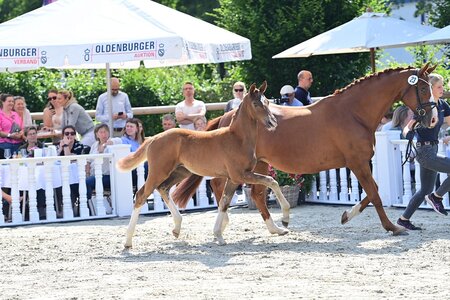 Bereits um 12.00 Uhr am Samstag, präsentieren sich die Nachwuchsstars von morgen in einer Finalpräsentation | ©  OLD Art