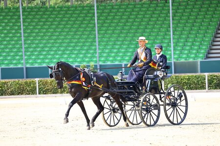 Die Siegerin der 4-und 5-jährigen Fahrpferde 2023: DSP-Stute Fenne Lily an den Leinen von Lars Krüger | © Brit Placzek