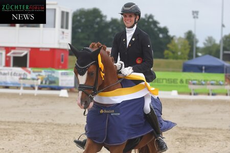 Er schafft das Double, Bon Coeur von Belissimo HS wird erneut Champion der Reitponyhengste in Verden, dieses Jahr bei den Vierjährigen. | © Bischoff