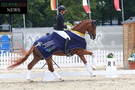 Der neue Hannoveraner Dressurpferdechampion der Fünfjährigen heißt Siempre Conmigo | © Bischoff