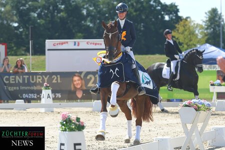 Da strahlen sie um die Wette - So Special und Jessica Lynn Thomas, frisch gekürte Champions der vierjährigen Hannoveraner Reitpferdehengste. | © Bischoff