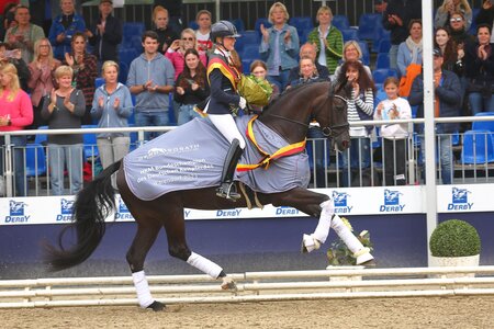 Die HKM Bundeschampionate gehen los. | © Bischoff