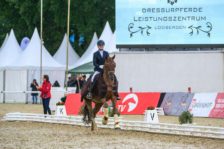 Flower unter Janina Tietze siegte bei den HKM Bundeschampionaten bei den vierjährigen Reitpferden. | © Equitaris
