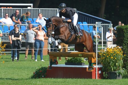 Siegten heute in der ersten Qualifikation der Fünfjährigen, Cool Tonic und Julia Krajewski. | © Bischoff