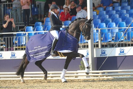 Elocin trabte zum Sieg bei den vierjährigen Hengsten. | © Bischoff