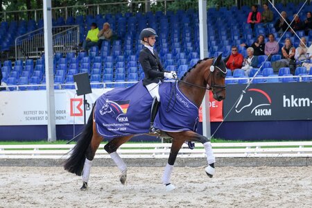 Felice führt die fünfjährigen Dressurpferde ins Finale. | © LL-Foto
