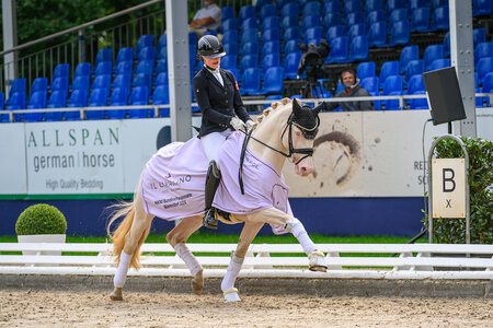 Gold Garant verzauberte in der Finalqualifikation der fünfjährigen Ponyhengste. | © Equitaris