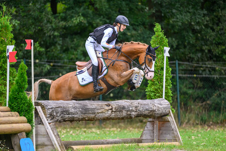 Ein echter "Eyecatcher" siegte bei den Vielseitigkeitsponys. | © Equitaris