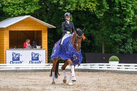 Quentin siegte in der Finalqualifikation der siebenjährigen Dressurpferde. | © Equitaris