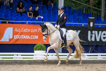 Gold Garant heißt der neue Bundeschampion der fünfjährigen Dressurponys. | © Equitaris