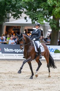 Be Sure ist Bundeschampion der sechsjährigen Dressurpferde. | © Equitaris